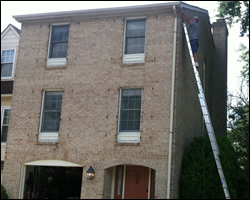 Bat exclusion in Charlottesville VA